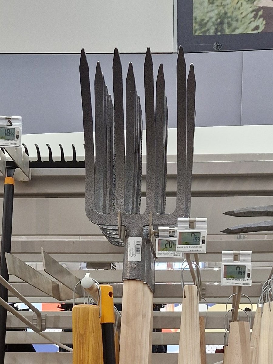 Pr Soropode 🇫🇷 tweet media