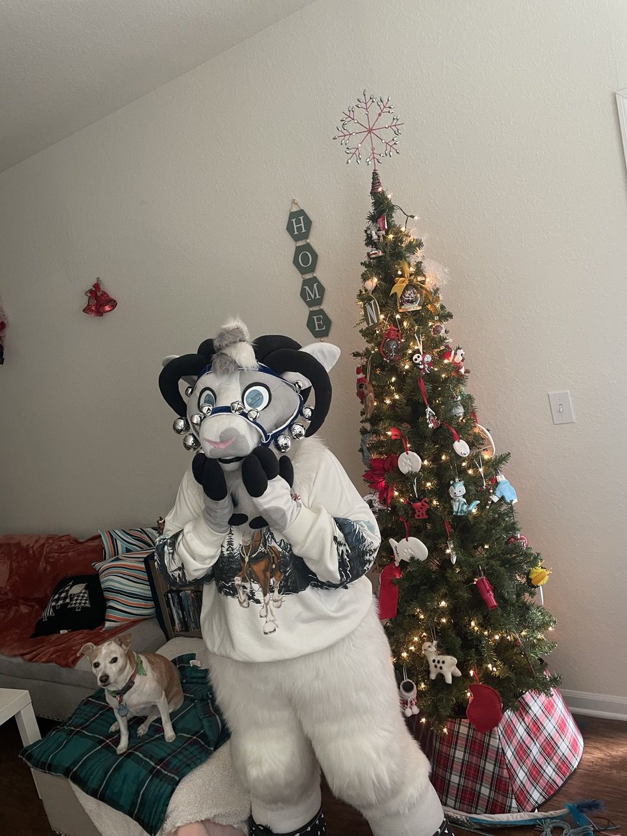 🐏Dusty the Ram tweet media