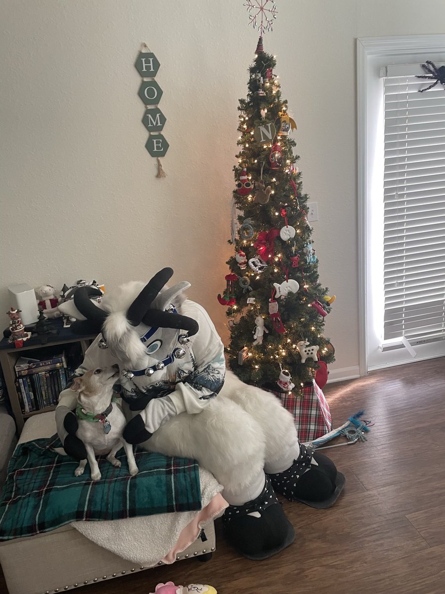 🐏Dusty the Ram tweet media