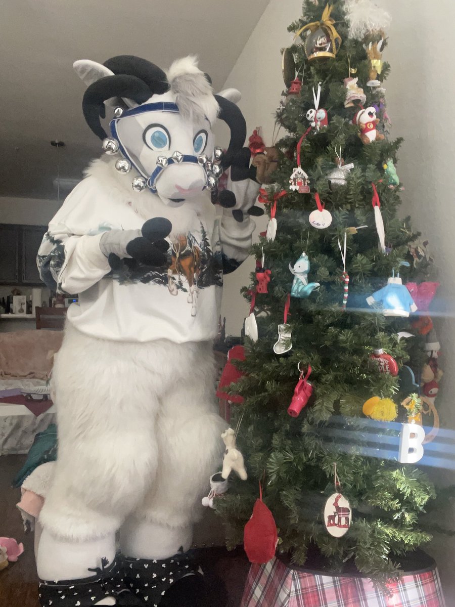 🐏Dusty the Ram tweet media