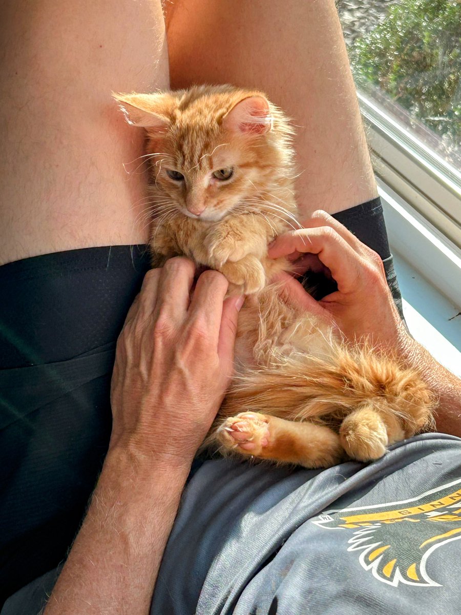 gandolf_s's tweet image. Good Morning❤️Murphy and Birdie❤️ Still Available For Adoption. Atlanta, Ga.