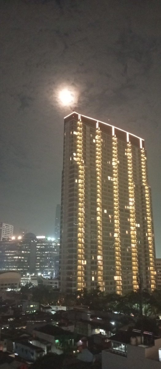 Enteroba's tweet image. 