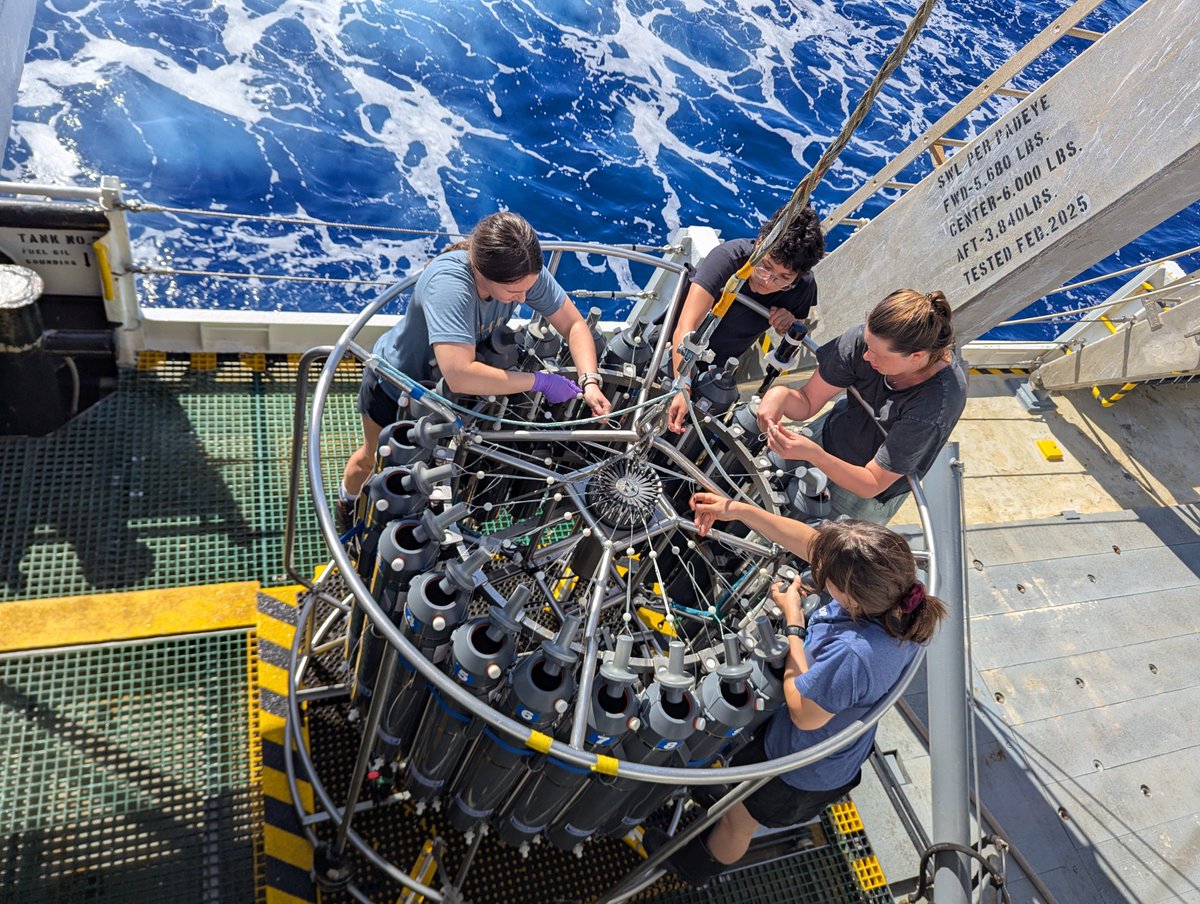 Chemical Currencies of a Microbial Planet (C-CoMP) tweet media