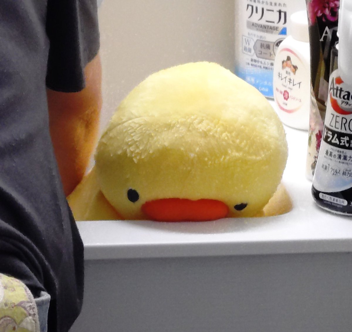 ぴよちゃんず (@tekutekupiyo) / Posts / X