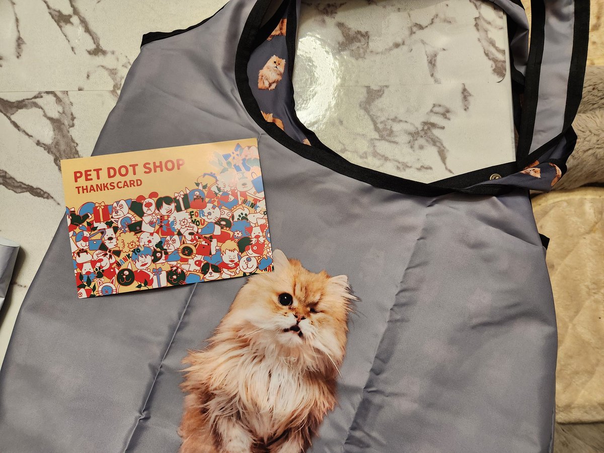 nekodarake2222's tweet photo. ペット写真のオーダーで届いたエコバッグ°・*:.。.
🌈に旅立っちゃったけど、、
会いたくて仕方ないけど、、
楽しかった毎日がこのバッグを使うたび思いだせる💕
素敵に作ってもらえて感謝です✨ https://t.co/RH4PJhysiy