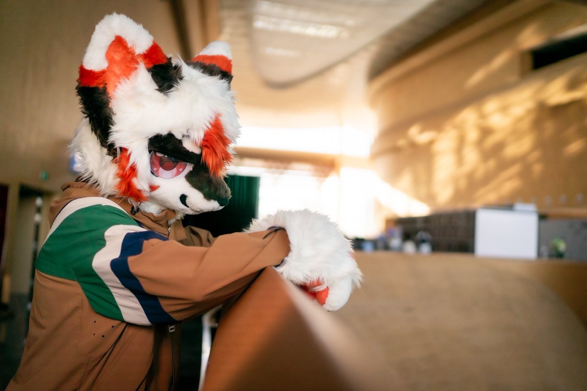 骚尼克才是最吊的 tweet media