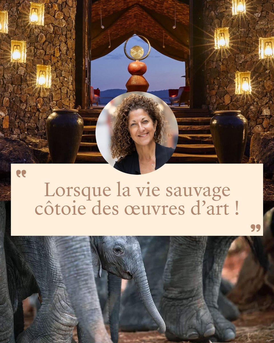 𝗟𝗔𝗕𝗔 𝗚𝗥𝗨𝗠𝗘𝗧𝗜 𝗔𝗥𝗧 𝗟𝗢𝗗𝗚𝗘 ❤️ 𝗟𝗘 𝗖𝗢𝗨𝗣 𝗗𝗘 𝗖𝗢𝗘𝗨𝗥 𝗗𝗘 𝗦𝗔𝗕𝗜𝗡𝗘 𝗔𝗥𝗕𝗜𝗕 > "Lorsque la vie sauvage côtoie des œuvres d’art ! " ...Perché sur une colline isolée du #Serengeti, en #Tanzanie... exclusifvoyages.com/adresse/laba-g…