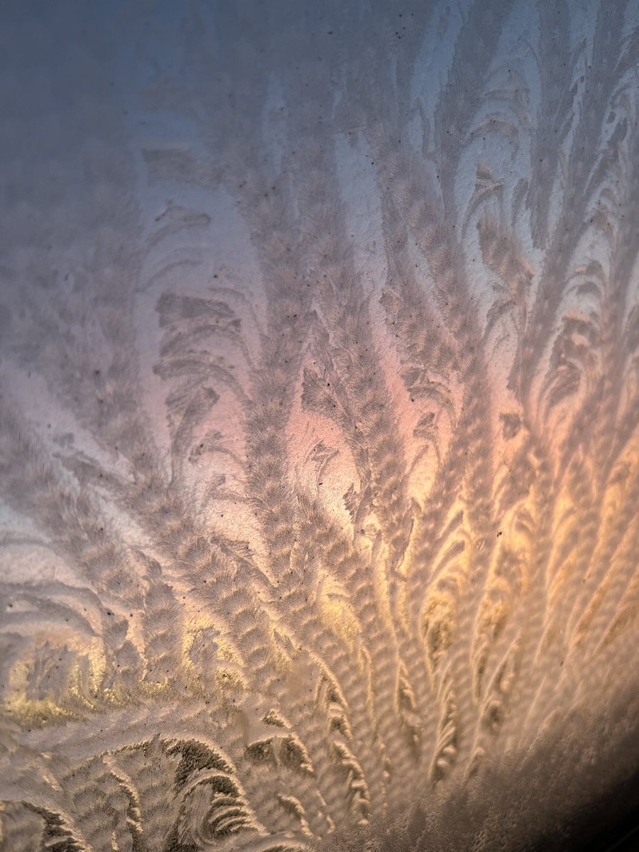 mattlongnow's tweet photo. Dendritic fractals
freeze the moment, fleetingly. 
Elemental art ❄️

#haiku #dendrite #frost #sunrise #natureart https://t.co/oJM0gaNcU5