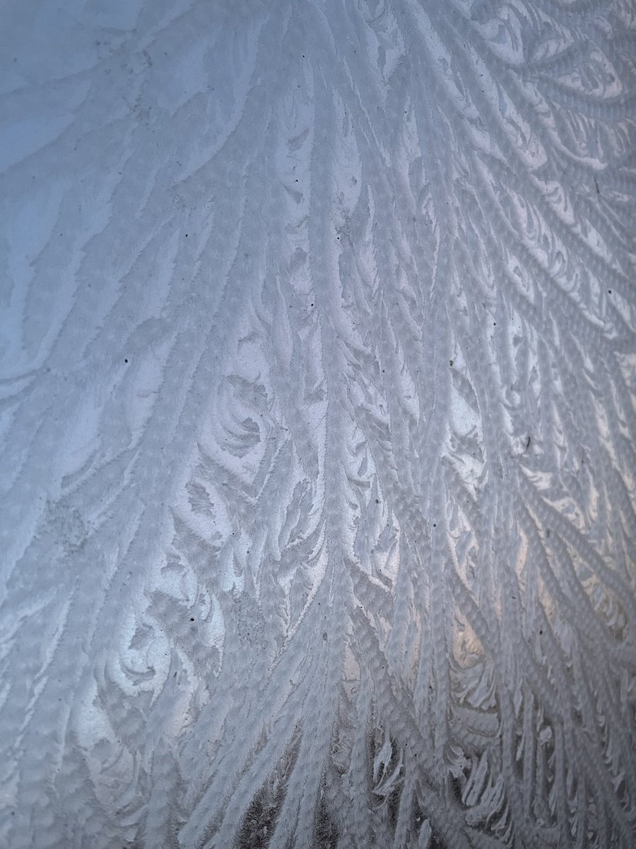 mattlongnow's tweet photo. Dendritic fractals
freeze the moment, fleetingly. 
Elemental art ❄️

#haiku #dendrite #frost #sunrise #natureart https://t.co/oJM0gaNcU5