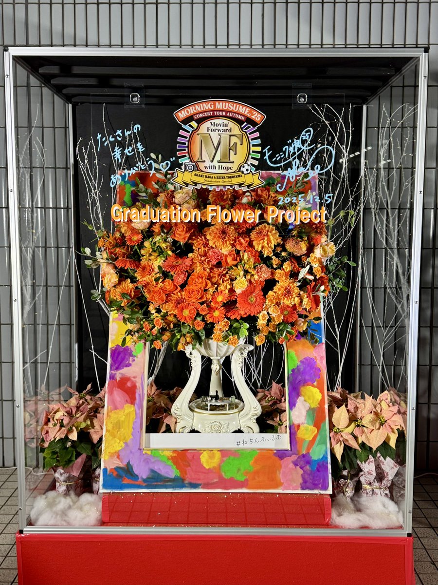 卒コン行って良かった🧡💛
田中れいなもInstagramで言ってたけど、6期ヲタ歓喜のセトリで嬉しかったな
#MorningMusumeMg