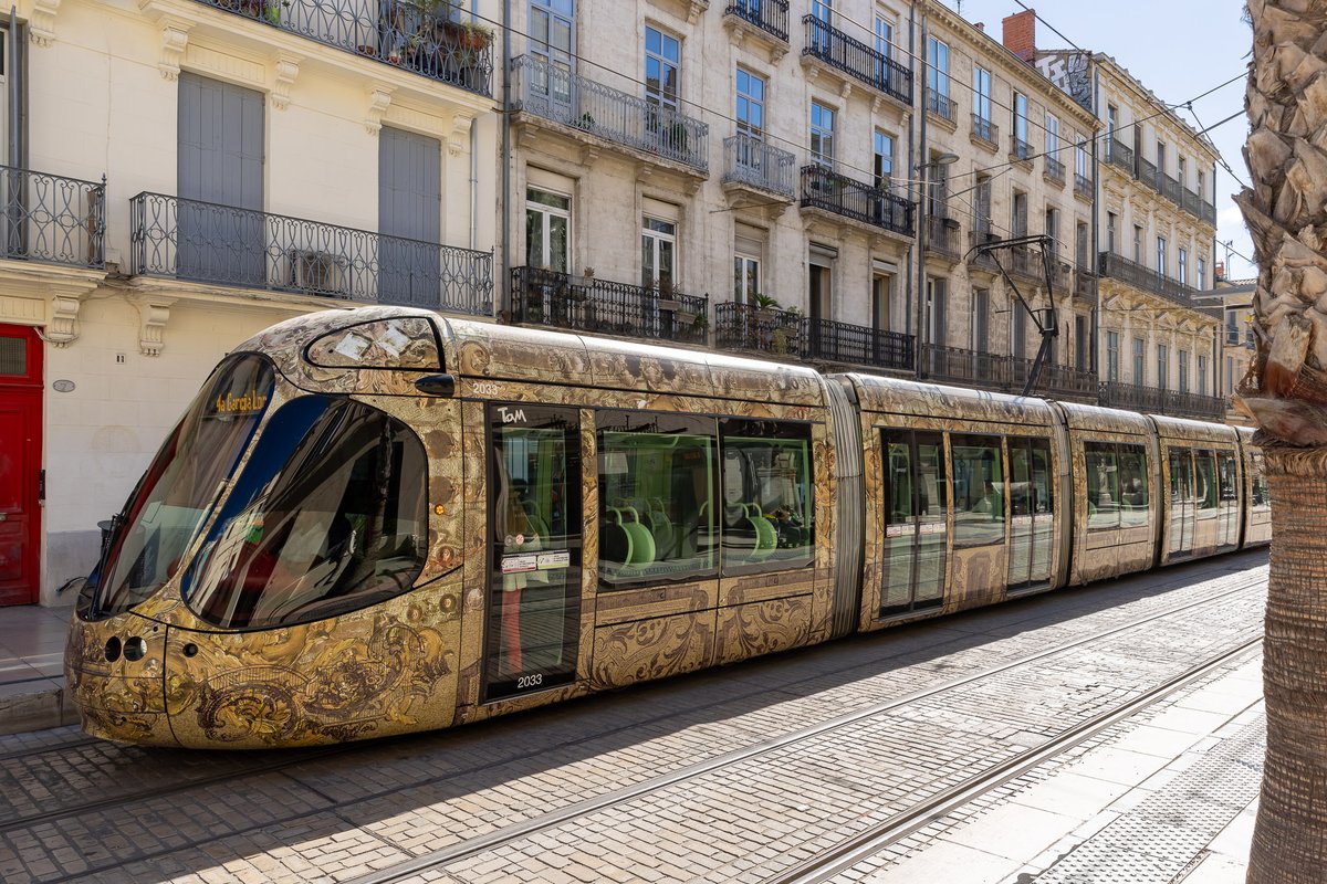 tamvoyages tweet media