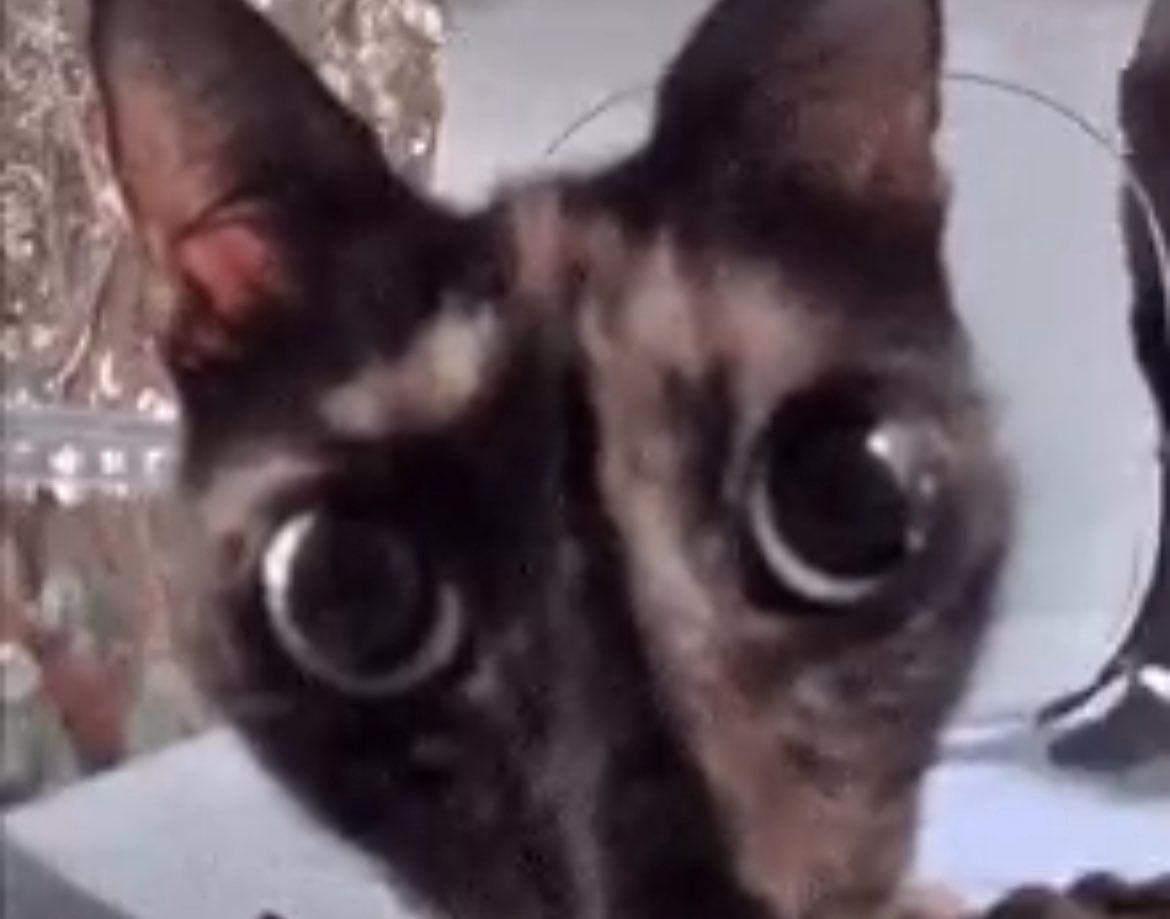 actsofhero's tweet image. 