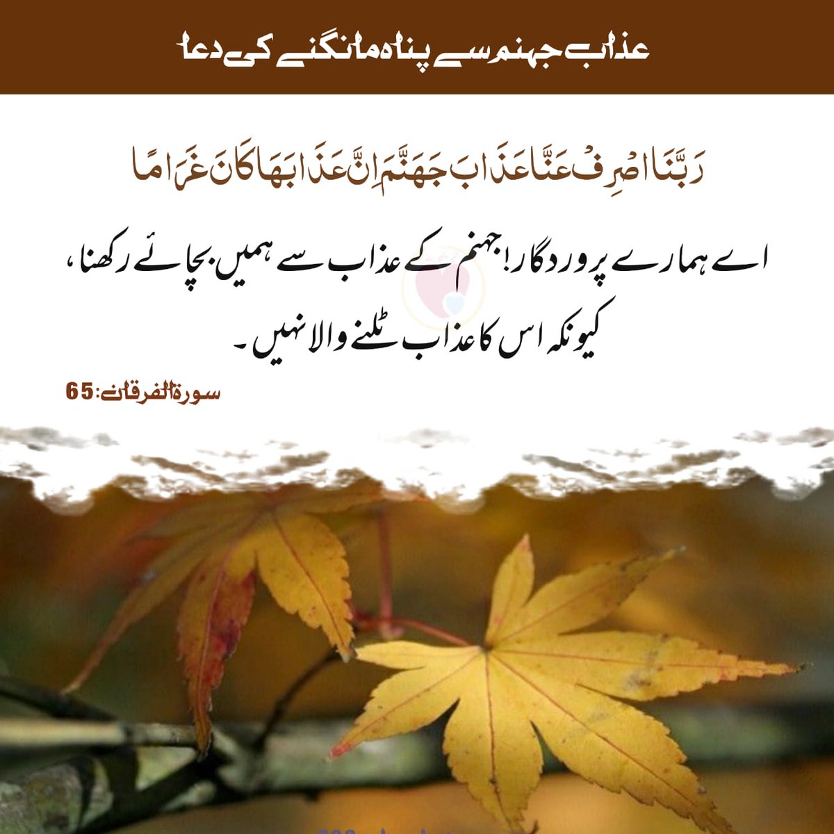 Taimoor Alam tweet media