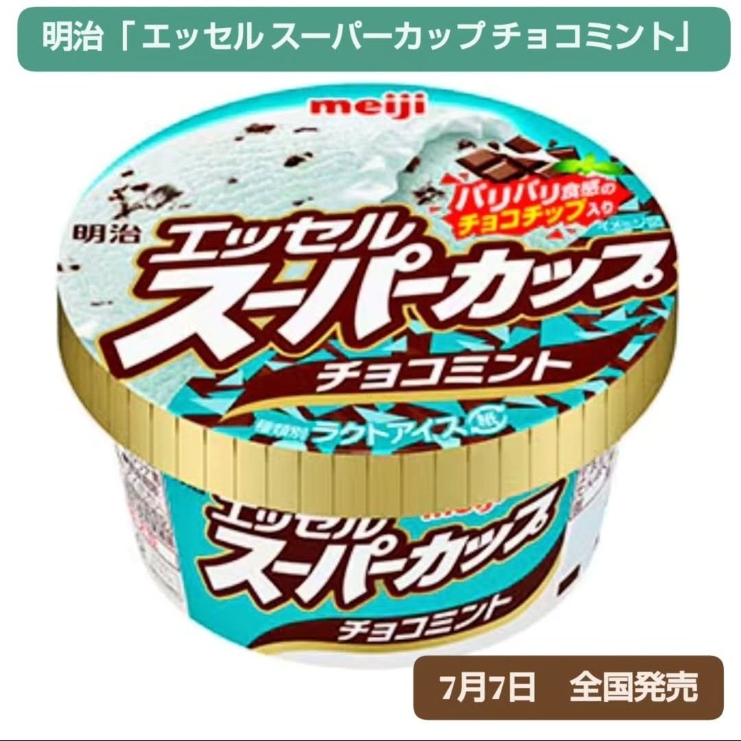 KKチョコミントバースデーバッシュSHAGGY NO COLLAR KKチョコミント様専用バースデーバッシュSHAGGY NO COLLAR チョコミン