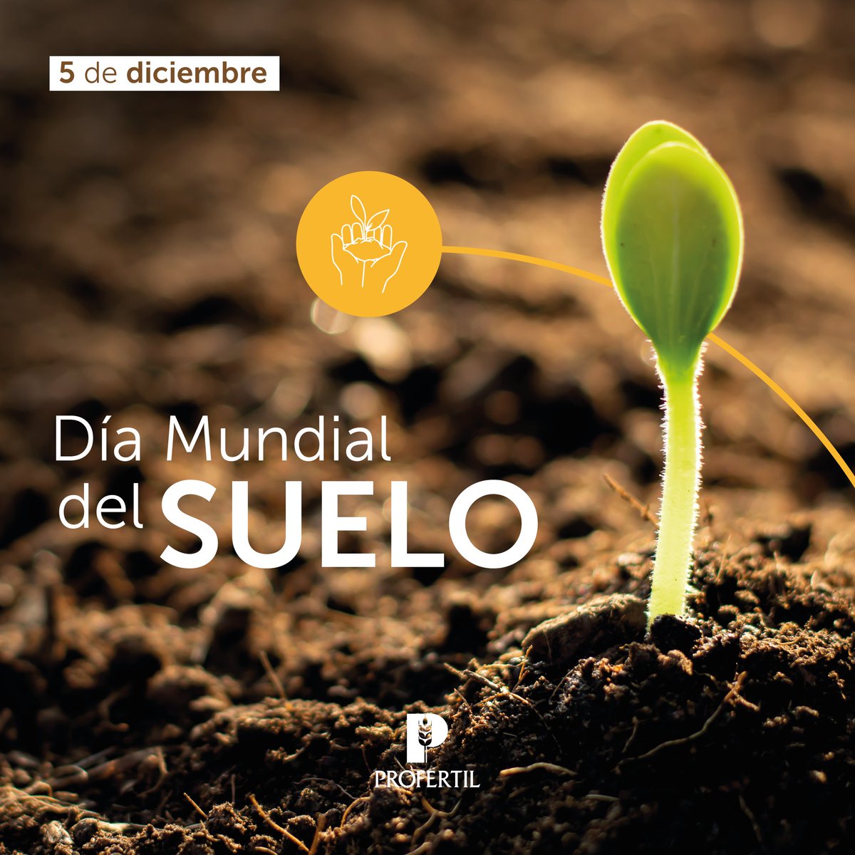 🌍 Hoy celebramos el #DíaMundialDelSuelo 🙌

Un suelo sano es clave para cultivos de calidad y sistemas sostenibles 🌱.

En Profertil, acompañamos al productor/a con soluciones para una nutrición eficiente que preserve este recurso para el presente y el futuro.