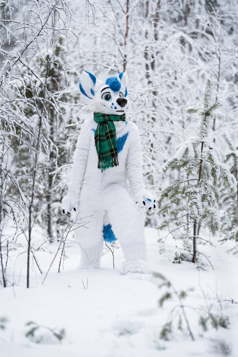 Lutu 💙💛 tweet media