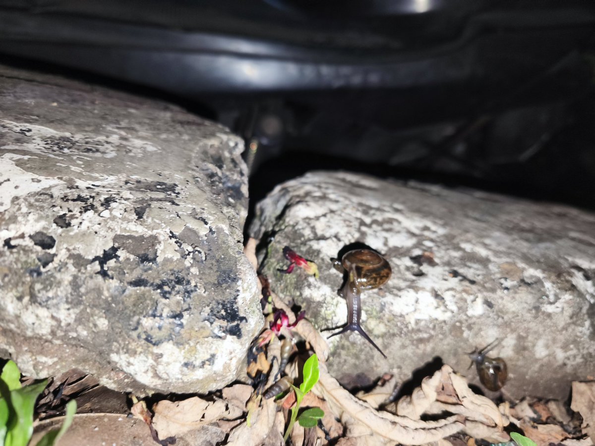 Rest arc jadi tukang foto gini njir la