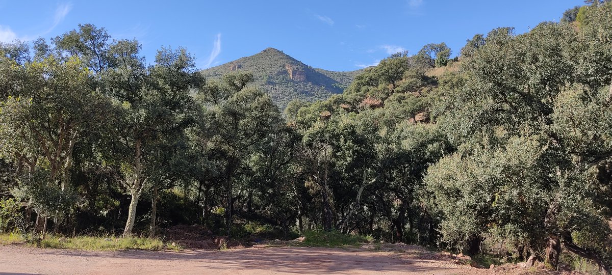L'autenticitat (difícil de definir) és un dels pilars per a la supervivència dels nostres pobles.

No hem de vendre gambes al món, que no en tenim.

#SerraEspadà