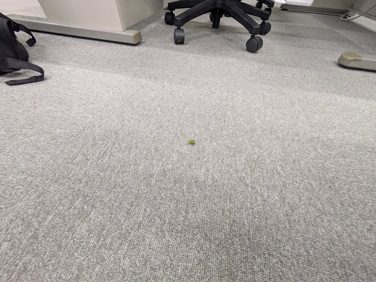 ピネピネ_math (@pinepine_math) / Posts / X