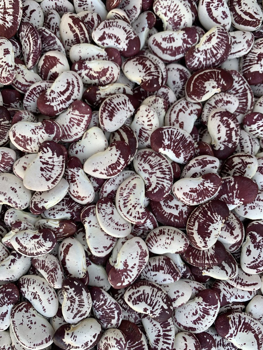 Butter Bing, Butter Bang ‼️