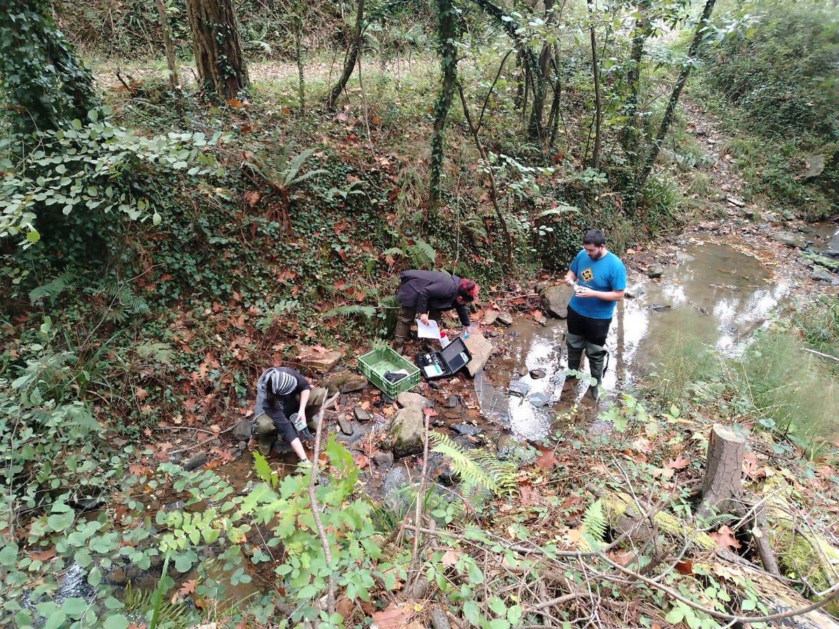 EhuStream tweet media