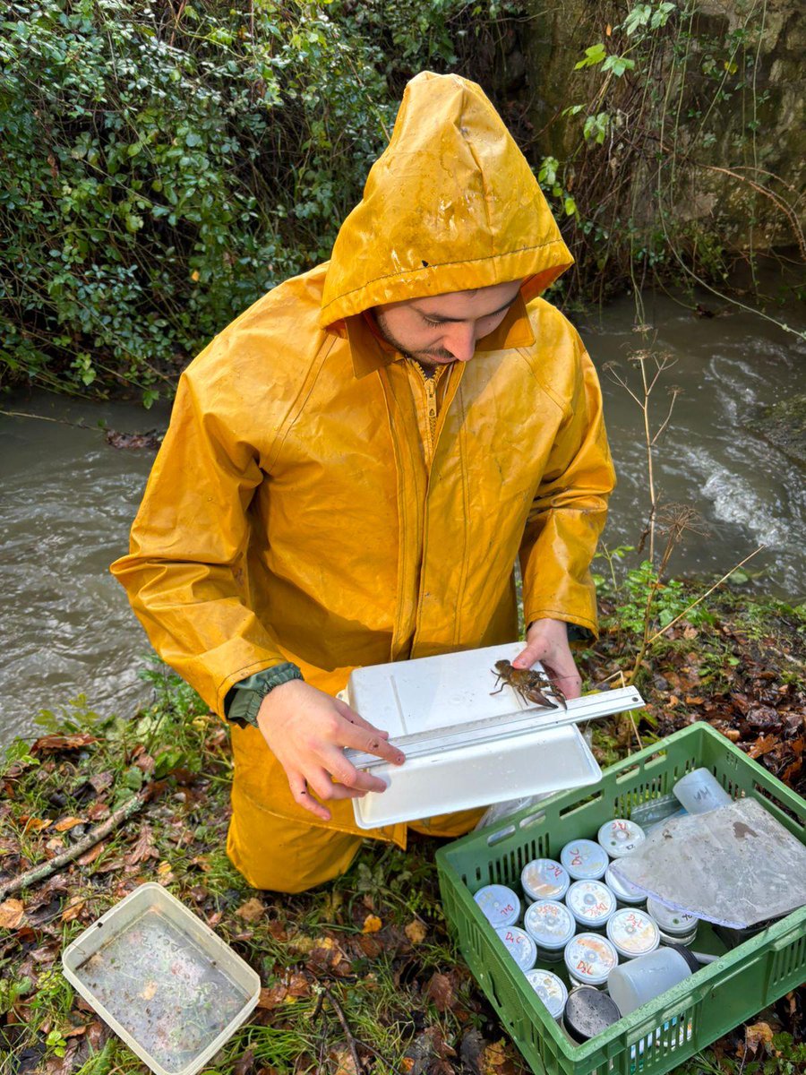 EhuStream tweet media