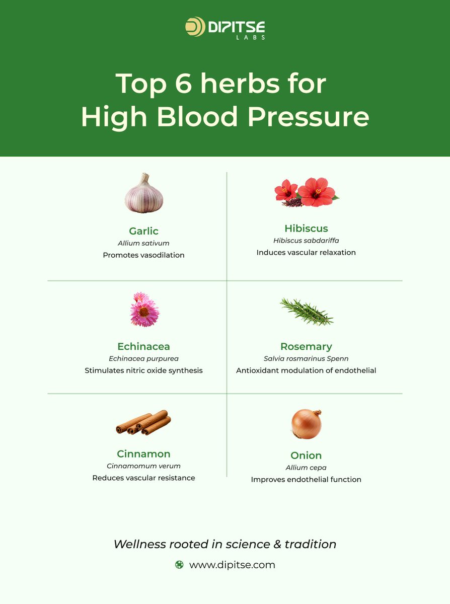 dipitselabs's tweet photo. Top 6 Herbs for High Blood Pressure (Hypertension) 

Wellness rooted in science and tradition at https://t.co/JU2993XNY9 https://t.co/PwuzRoU8Ot