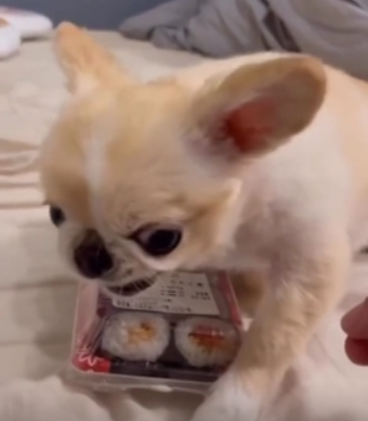 Blue 💀 tweet media