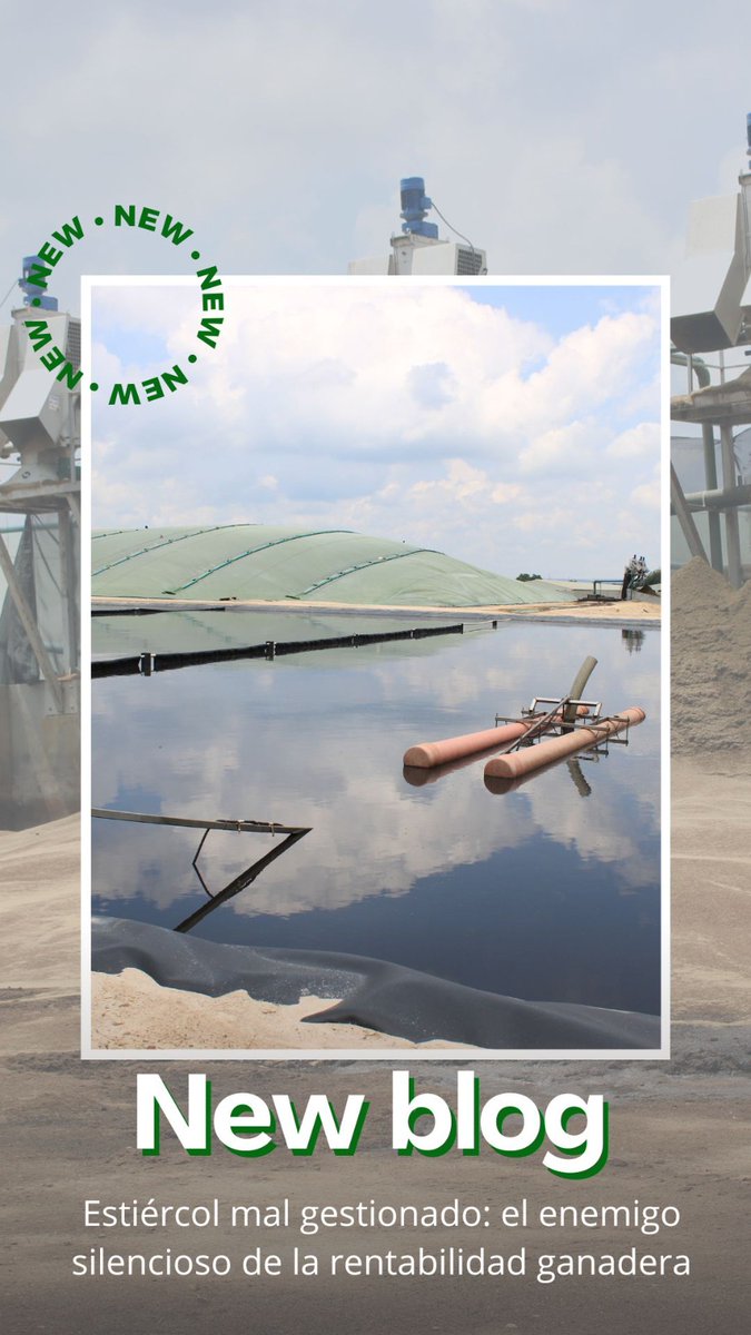 IGBIOGAS's tweet photo. El estiércol mal gestionado no solo contamina:
💸 roba rentabilidad
💧 desperdicia agua
⚡ pierde energía que podría transformarse en biogás

📄 Lee mas: 
🔗 https://t.co/KU4EWlSkkb

#IGBiogas #Biogás #GanaderíaSustentable #EconomíaCircular #EnergíaRenovable #CampoMexicano https://t.co/RwmQxOrbSf