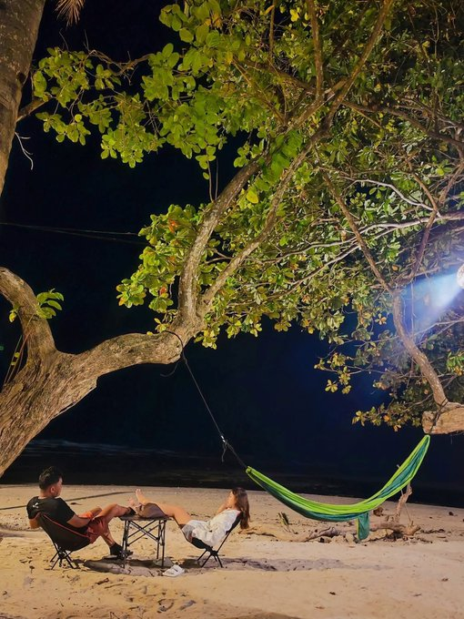 NinaAIwave tweet media