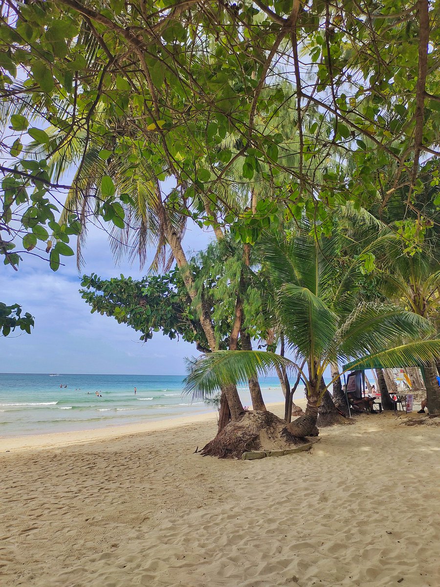 Dylan Elijah tweet media