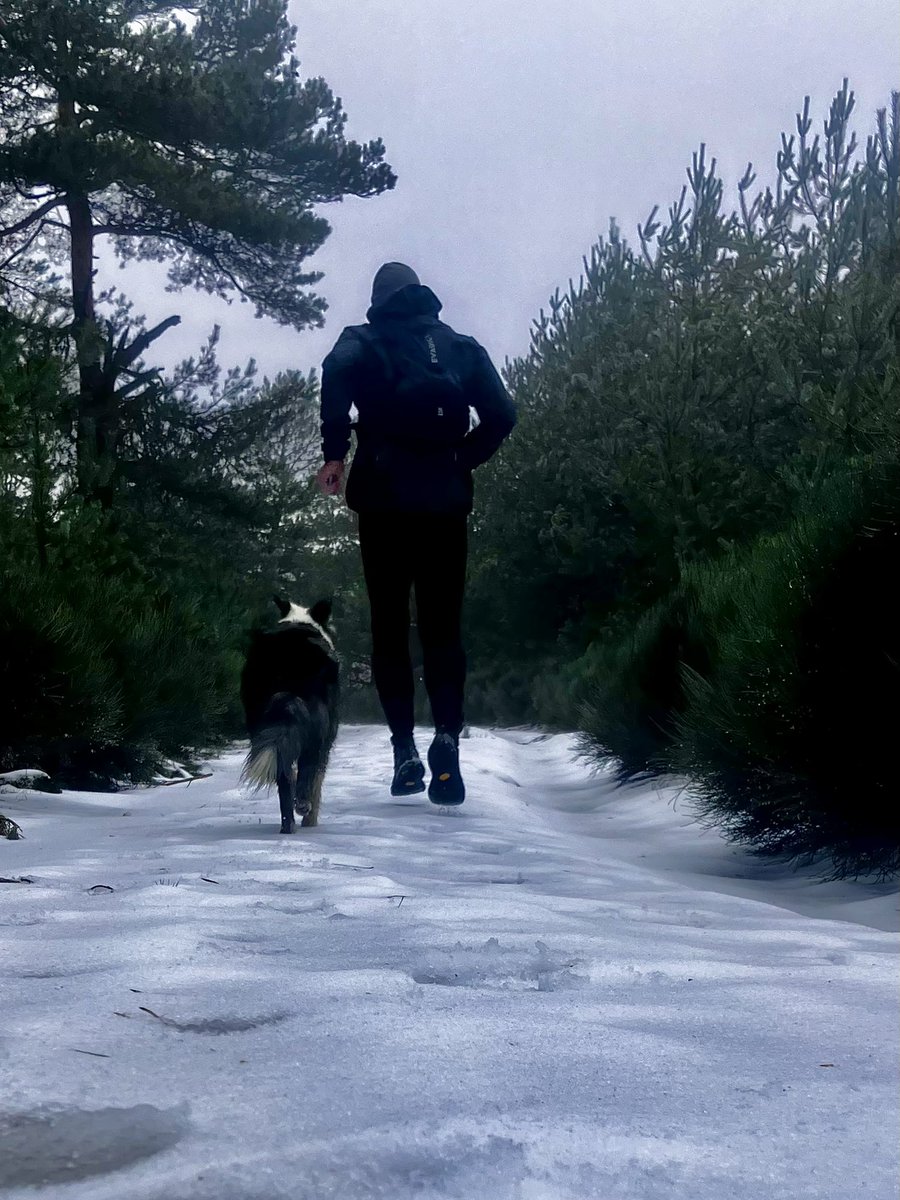 pastorpondero's tweet photo. En mi mundo de nieve sólo está ella. 

Hoy no apetecía una mierda, mucho viento, nieve papa por subida de temperaturas, y al final ha salido un entrenamiento intensito, como si fuera Diego Pablo Siemeone 😅. 11 K D+300.

#Snowrunning  
#SierradeGuadarrama https://t.co/7kUui97rQ8