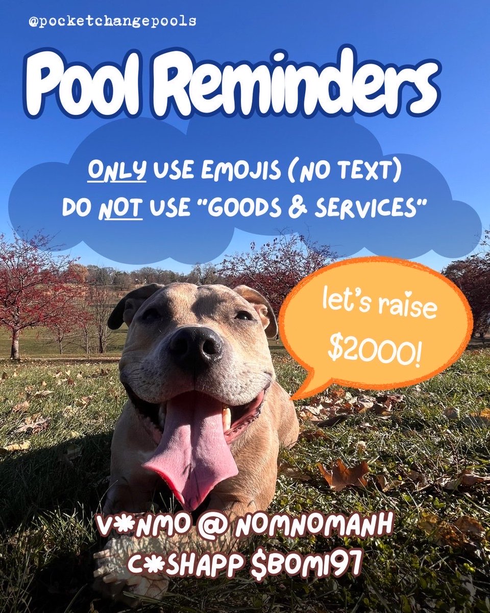 pocket change pools tweet media