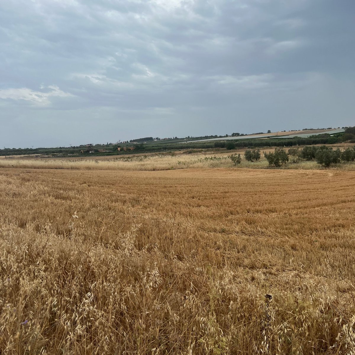 CARINA project tweet media