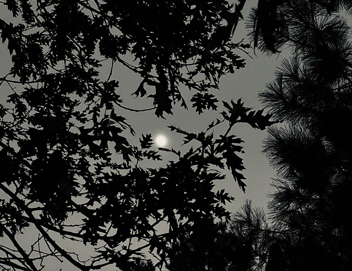 Moon haze.