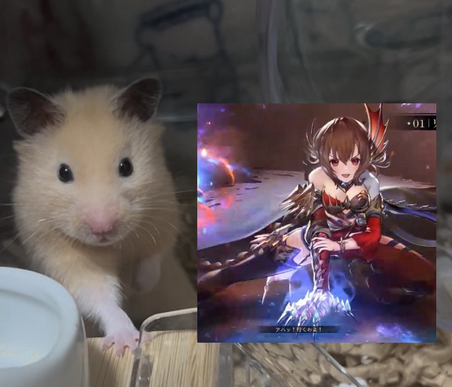 はづき tweet media