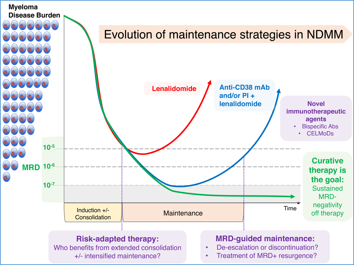 Benlazar S M A tweet media