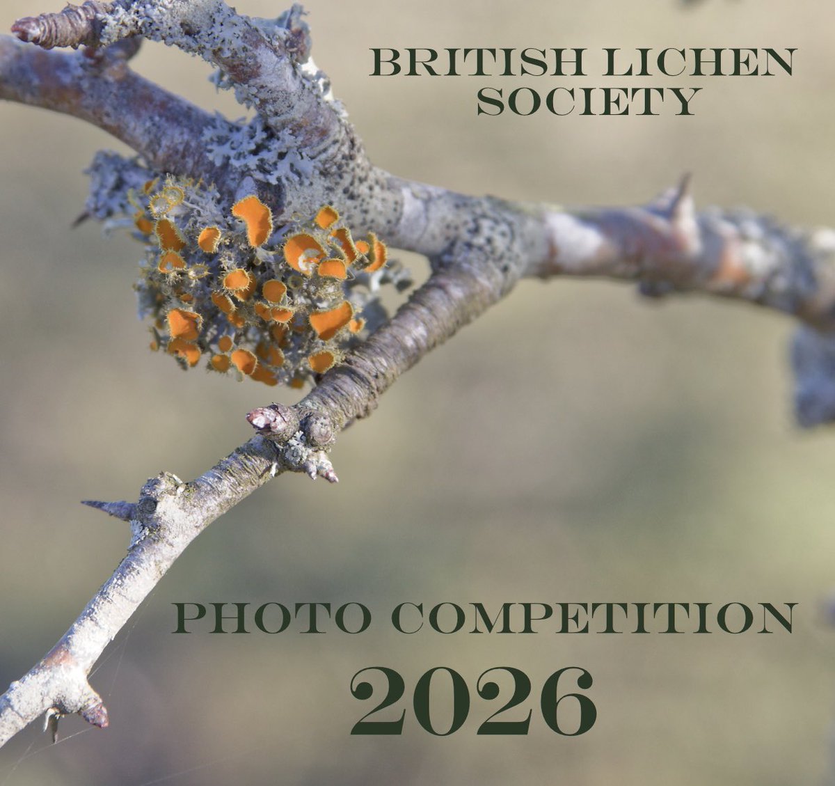 The British Lichen Society tweet media