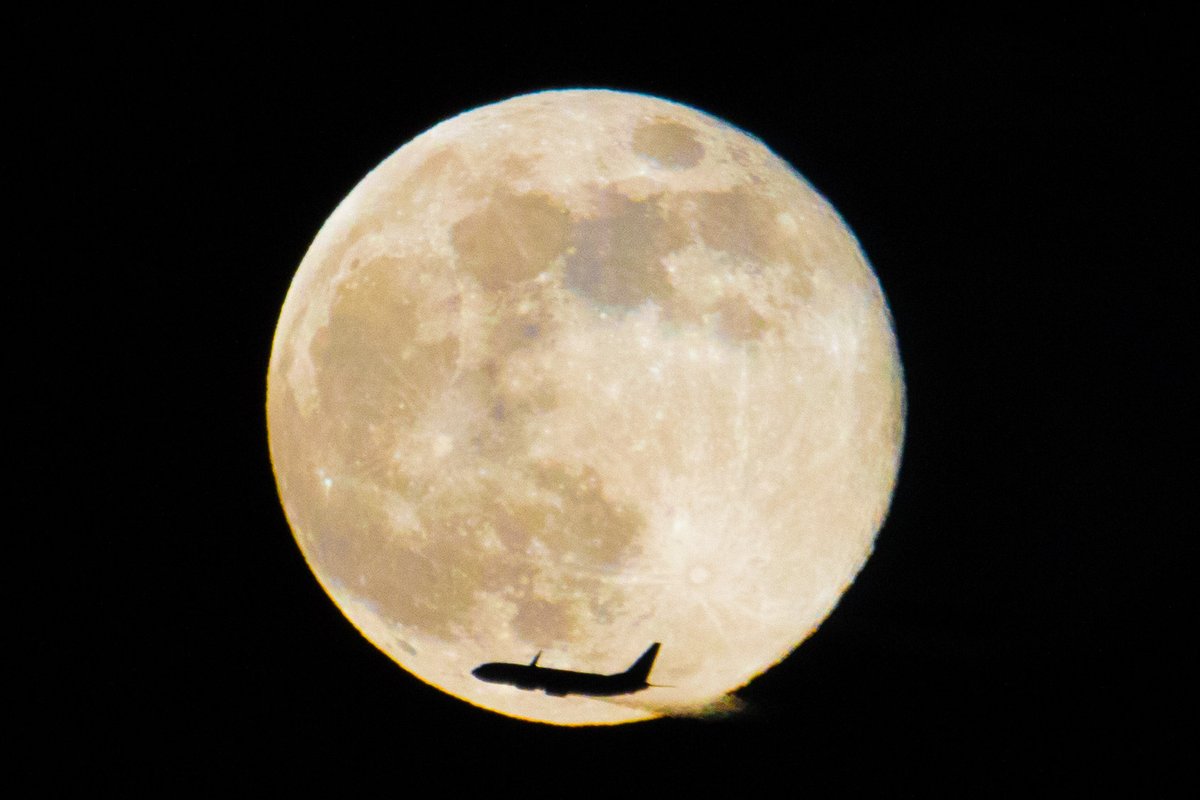 神！！！！！！