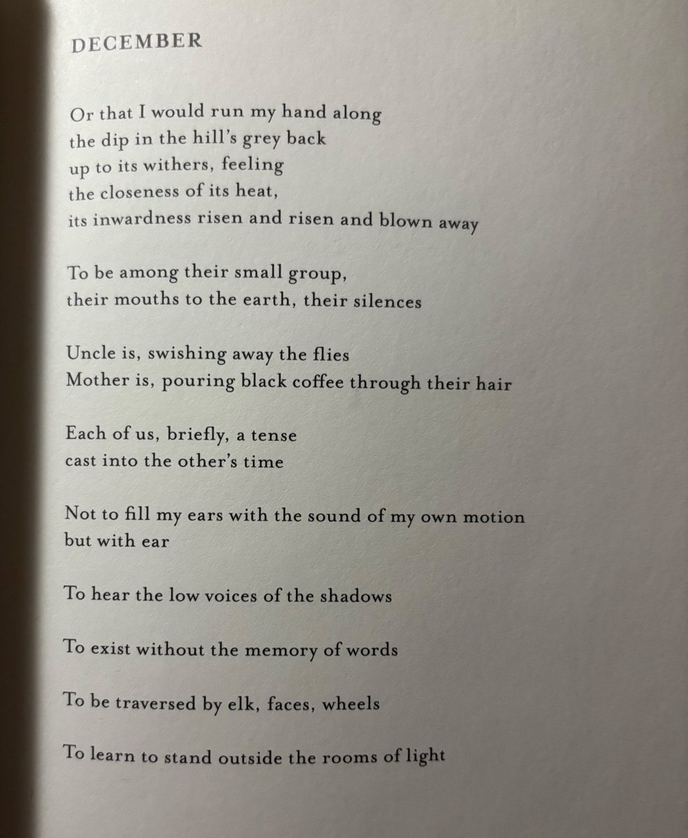 chenchenwrites's tweet image. Each of us, briefly, a tense
cast into the other’s time

—Aracelis Girmay