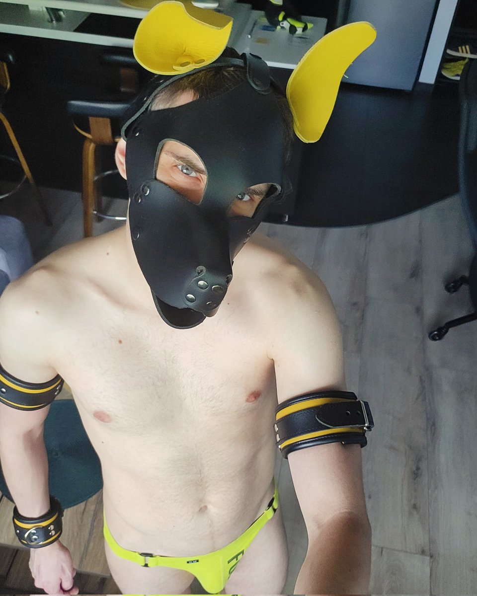 Pup Kamano tweet media