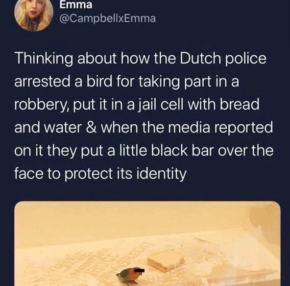 Of course- privacy matters.