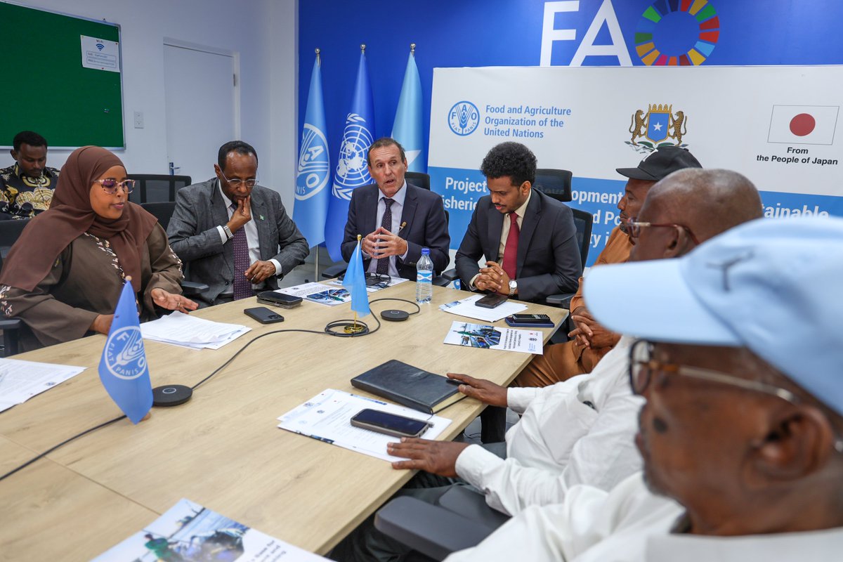 FAO in Somalia tweet media