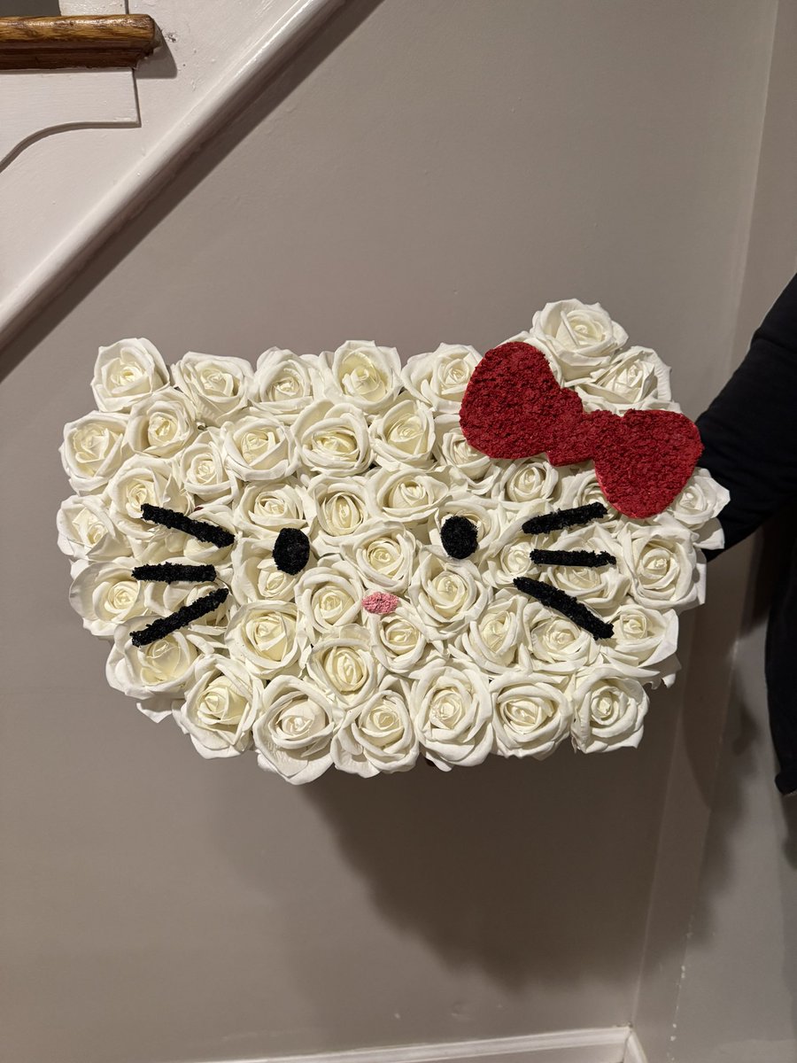niyhaaa_'s tweet photo. Hello Kitty Boxed Bouquet 💕🙀
50 Forever Roses and Authentic dried baby breaths 
.
https://t.co/HtuvaHRz98
.
#baltimore #hellokitty #hellokittylover #rosebouquet #dmv #artificialroses #florist https://t.co/fsylSm6cPK