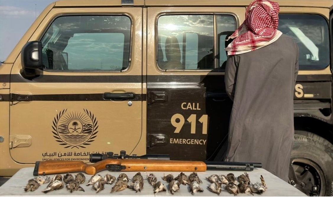«الأمن البيئي» تقبض على مواطن لارتكابه مخالفة الصيد دون ترخيص في منطقة المدينة المنورة. للاطلاع على 