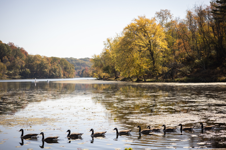 Allegheny County Parks Foundation tweet media