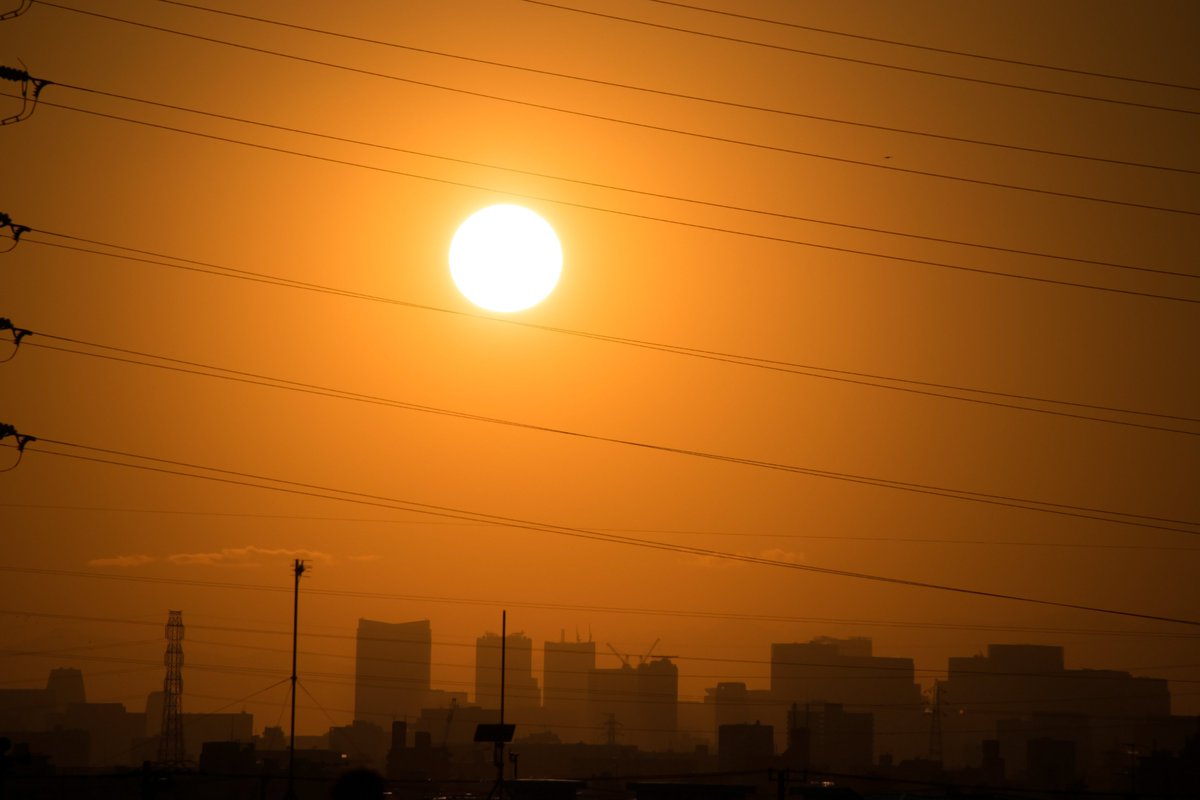 oviamu's tweet photo. #写真 #photo #streetphotography #urbanphotography #tokyo #都市 #カメラ #japan_view #artofvisuals #urbanart #jpn_photo #都市美 #夕焼け #sunse https://t.co/ieidU5enzy