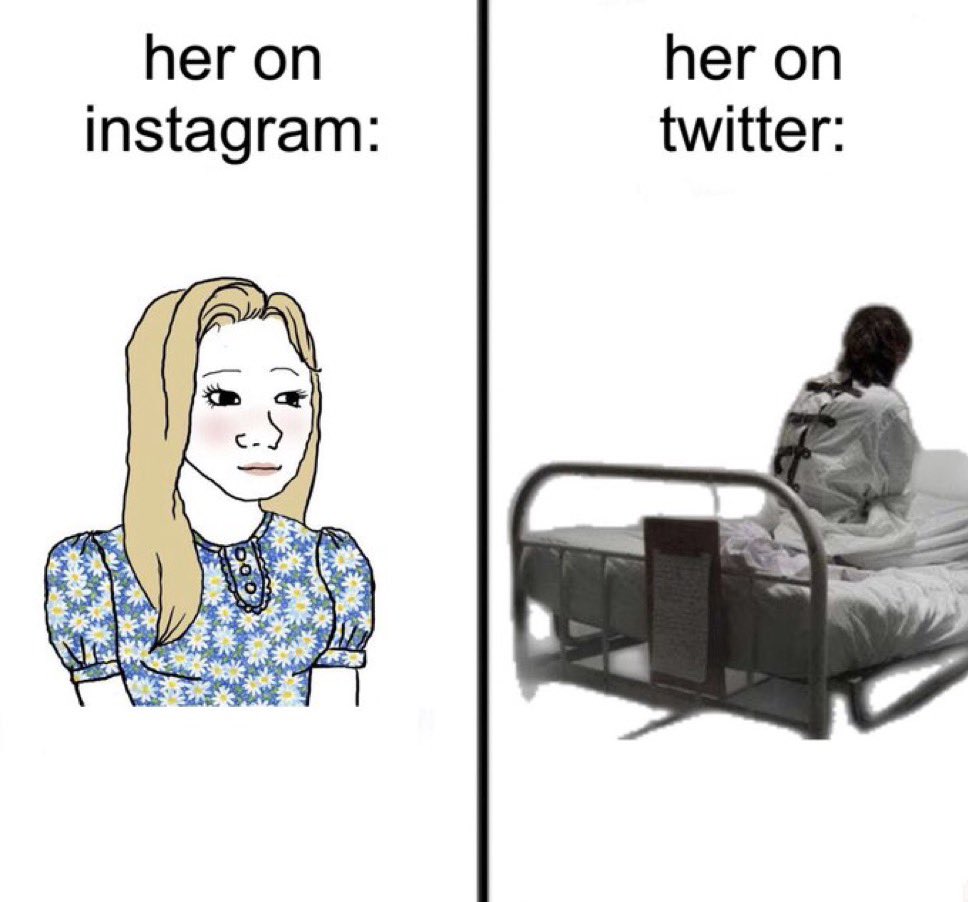 ✧ tweet media