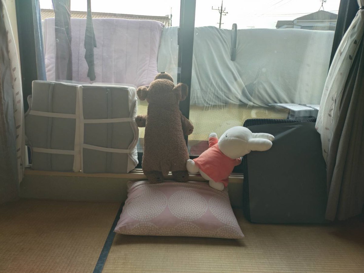 chant_ikiru's tweet photo. 金曜日のお昼。主人の帰りを待っている。 https://t.co/1p37SSGWOR