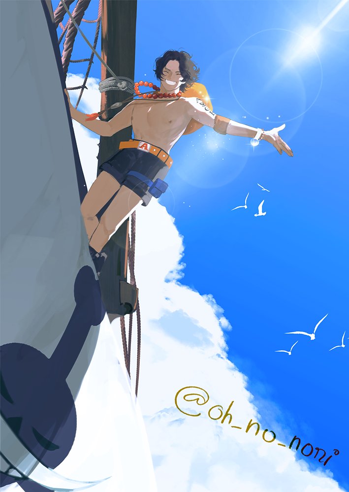 海苔 tweet media